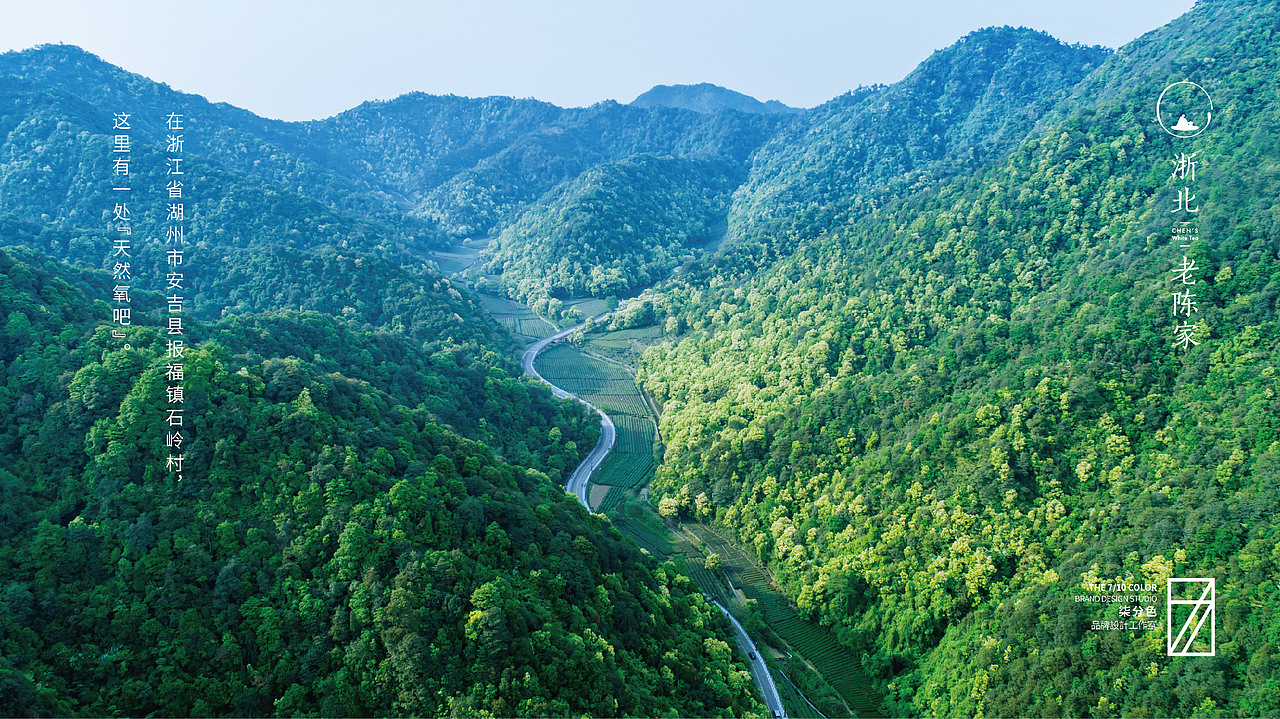 安吉白茶 浙北老陈家_品牌包装设计_柒分色品牌设计