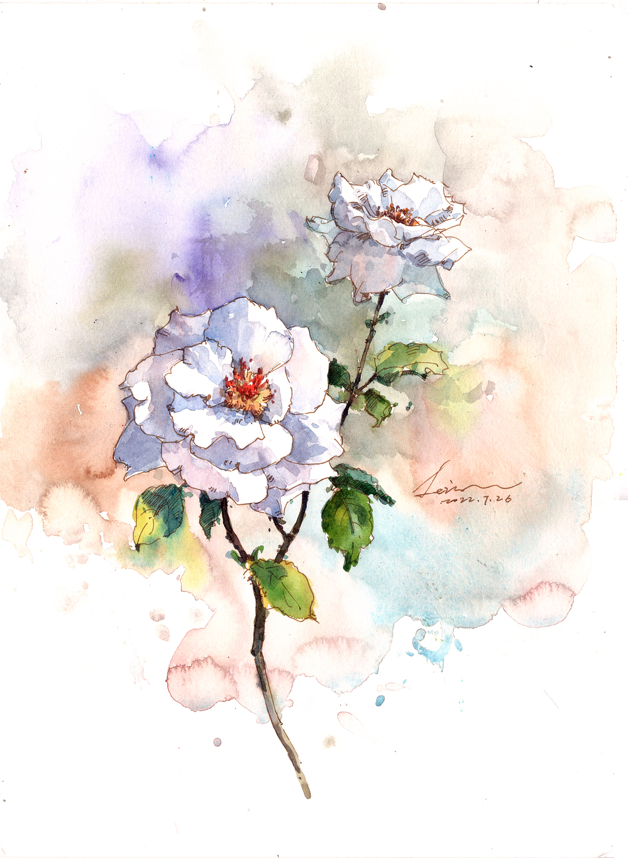 钢笔淡彩花卉,蓝色格劳恩