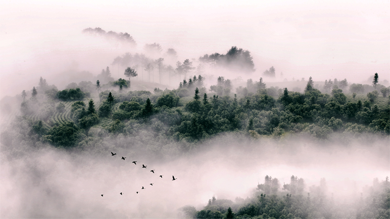 進(jìn)擊的小奎的個(gè)人主頁（背景預(yù)覽） - 主頁背景設(shè)置 - 站酷設(shè)計(jì)師進(jìn)擊的小奎原創(chuàng)素材 - 站酷ZCOOL