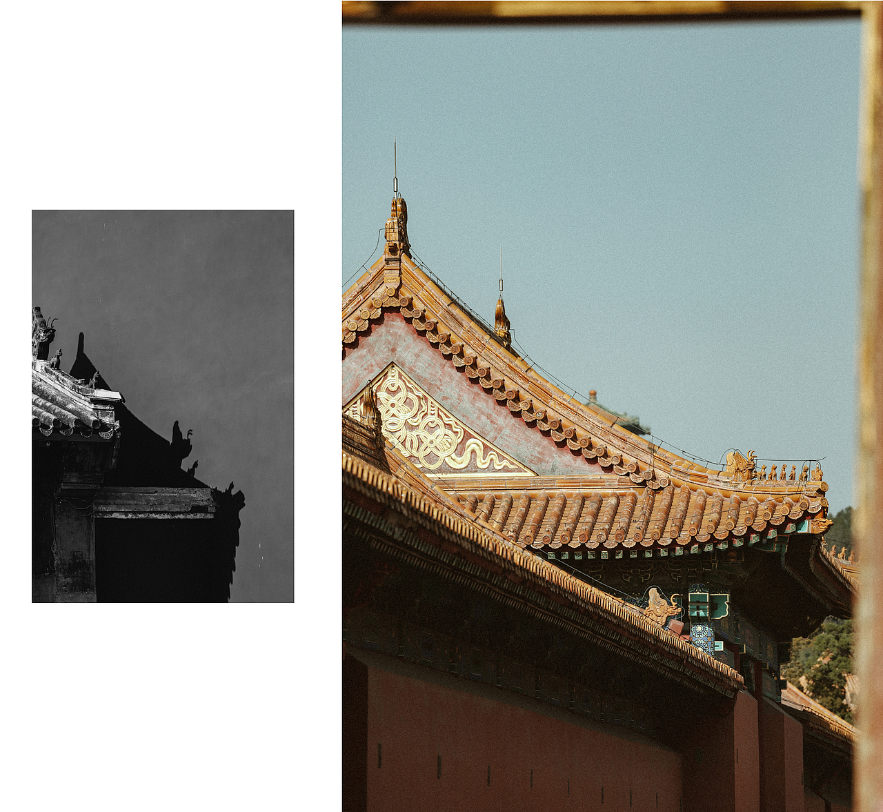 《葭月游园记》