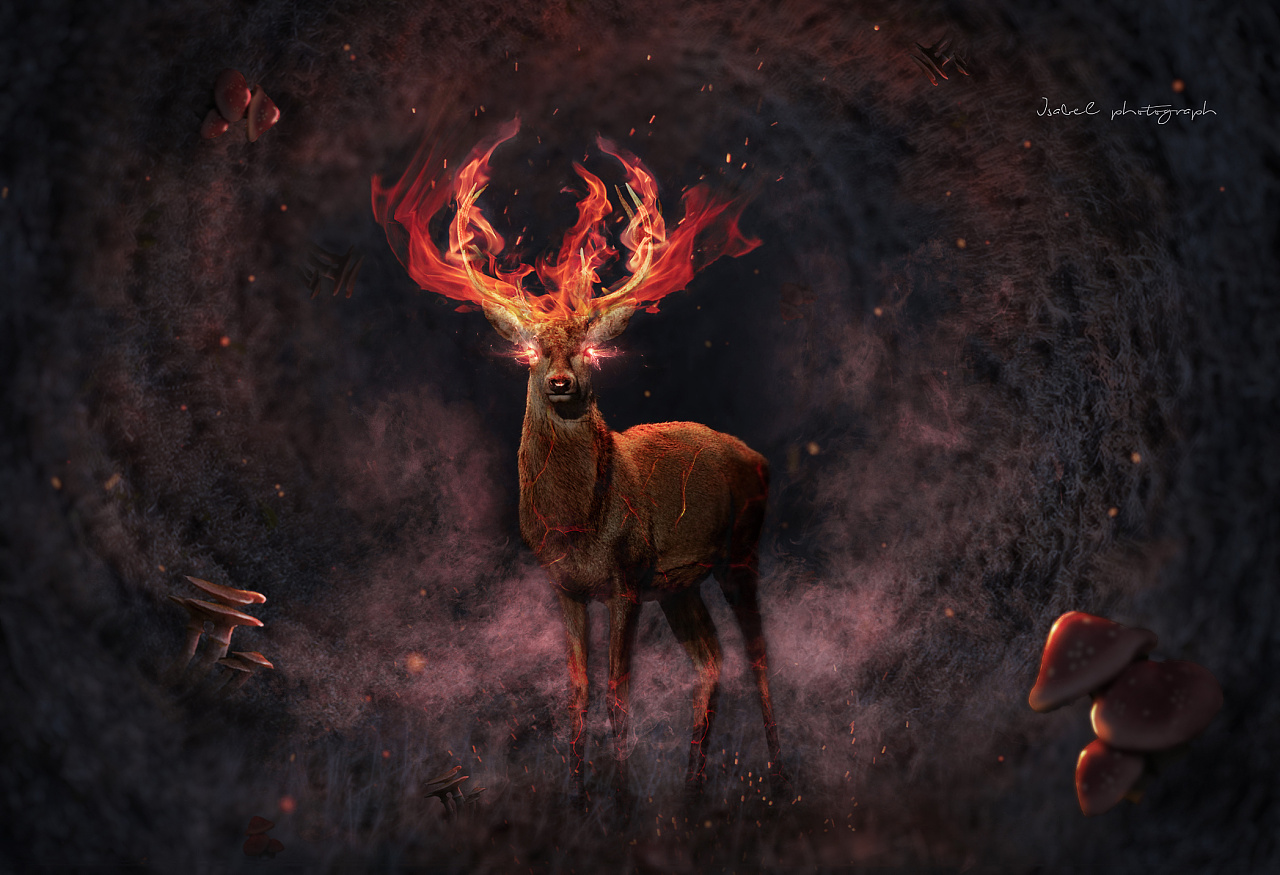 《火鹿》