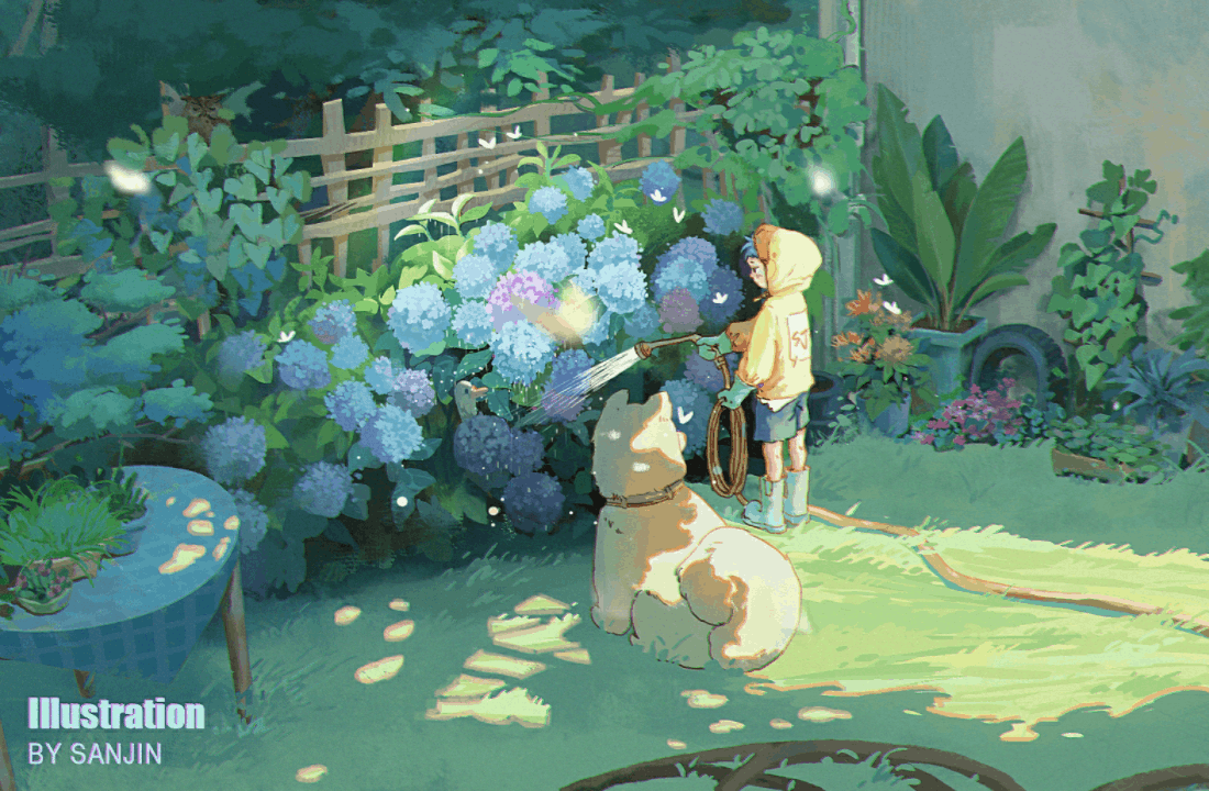 原创插画|花园