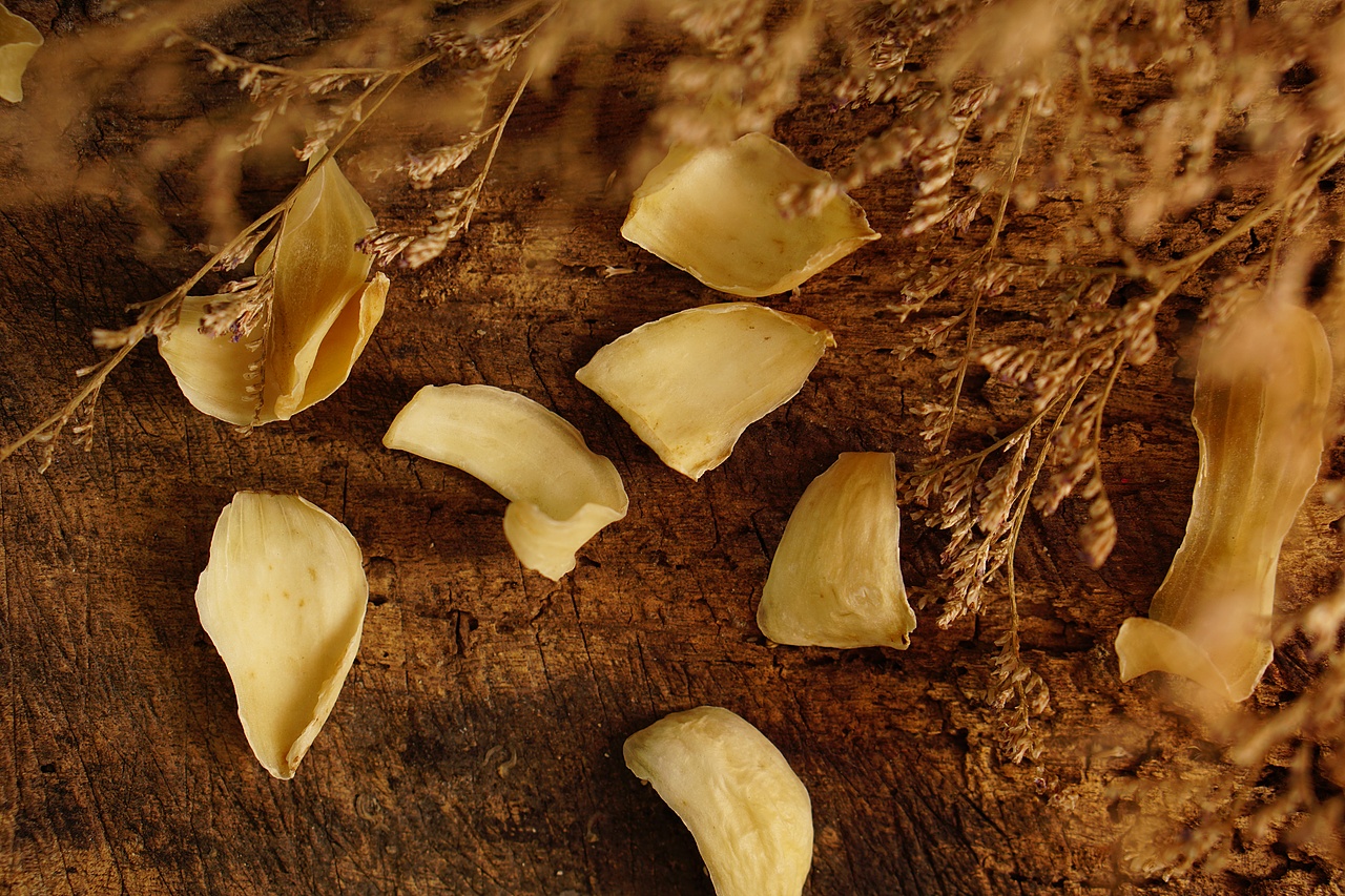 龙牙百合（图ZMTEwNjIxNTA4） - 产品摄影 - 站酷设计师BensonLI原创素材 - 站酷ZCOOL