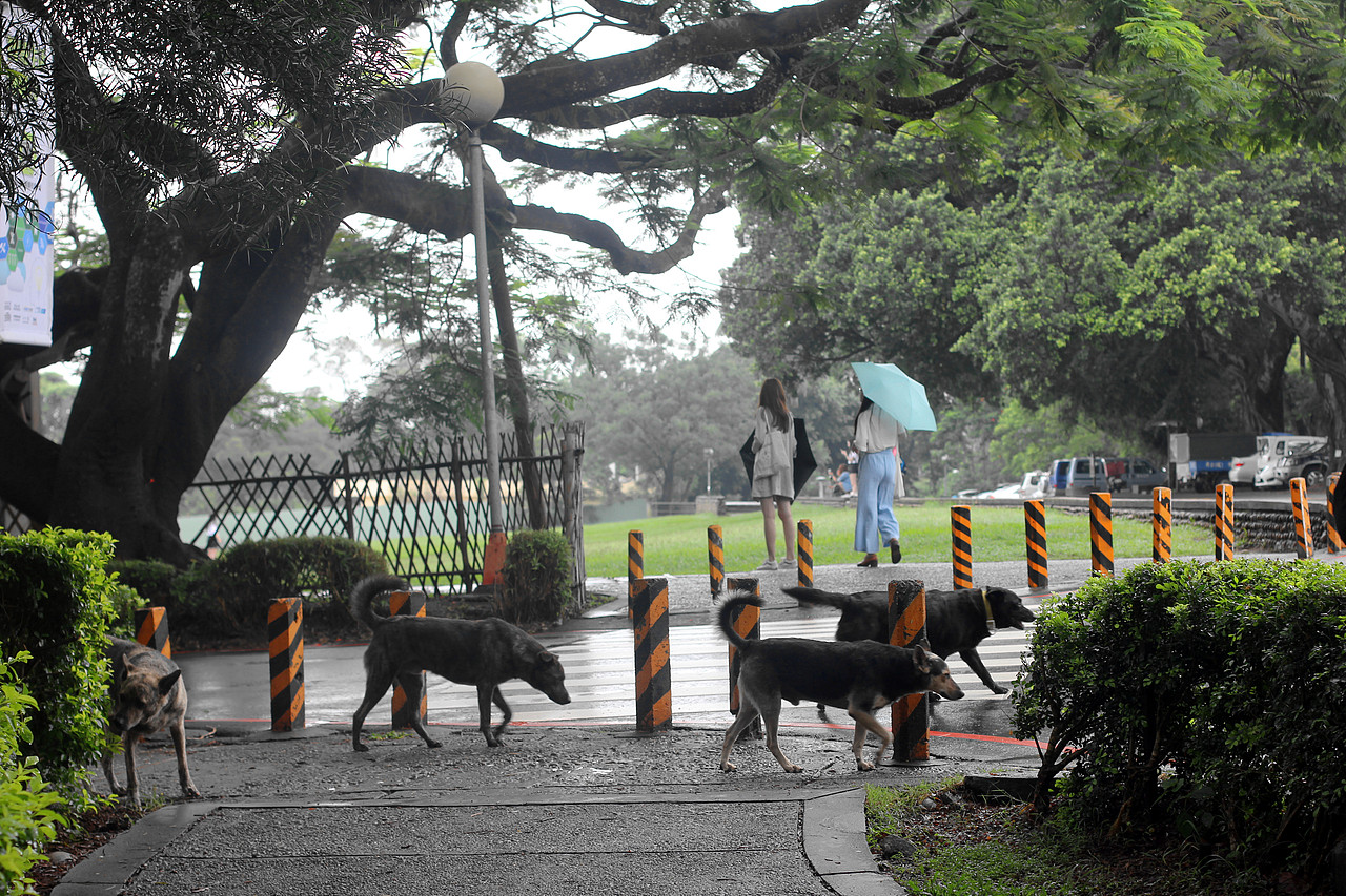 仲夏宝岛行【台湾】第二辑