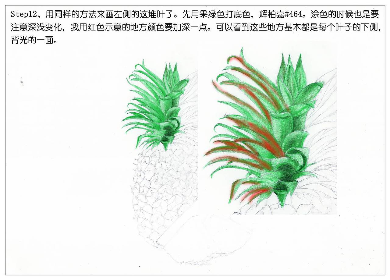 【驴大萌彩铅】手绘24节气水果图鉴 谷雨菠萝