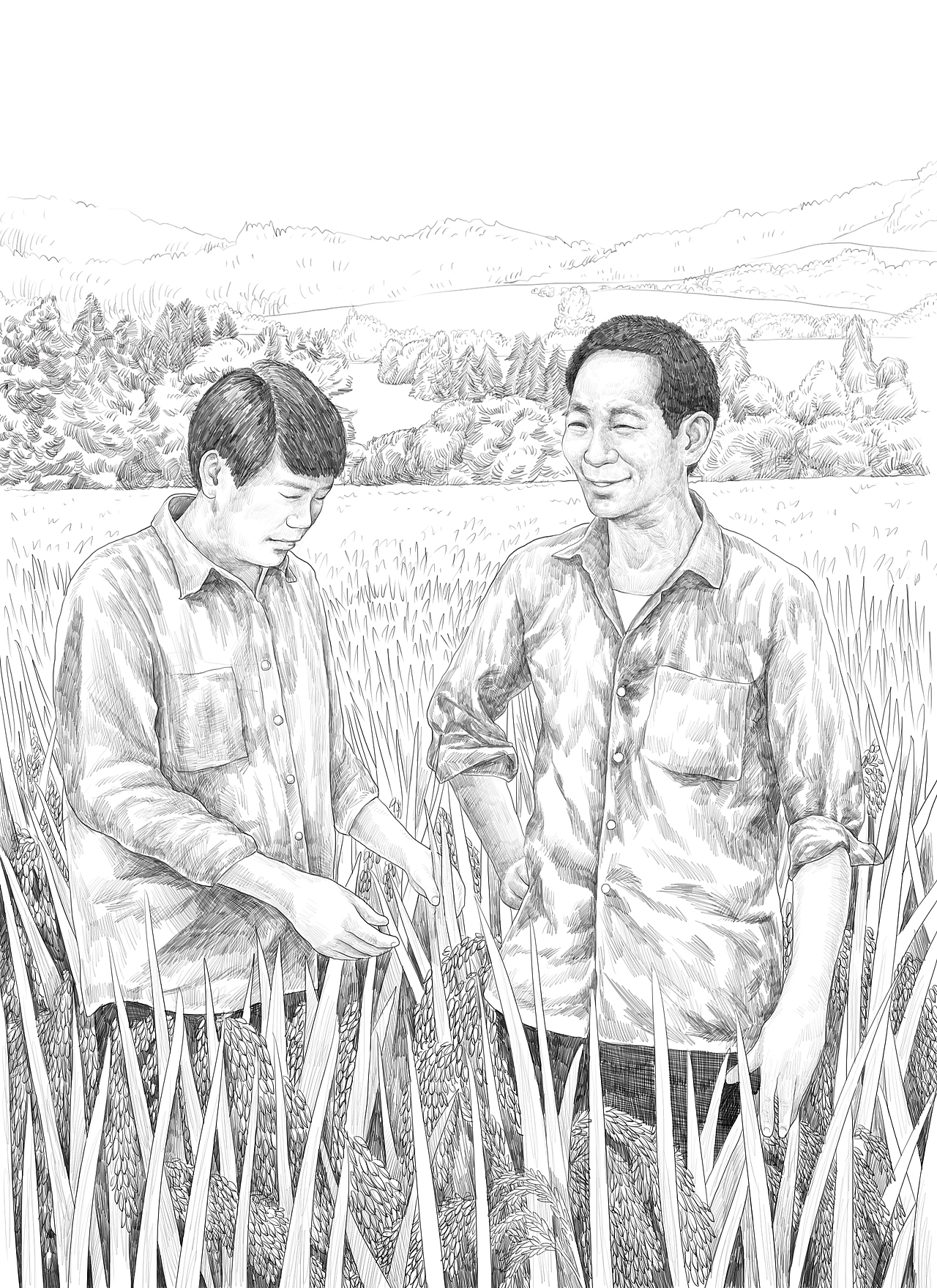 杂交水稻之父袁隆平插画