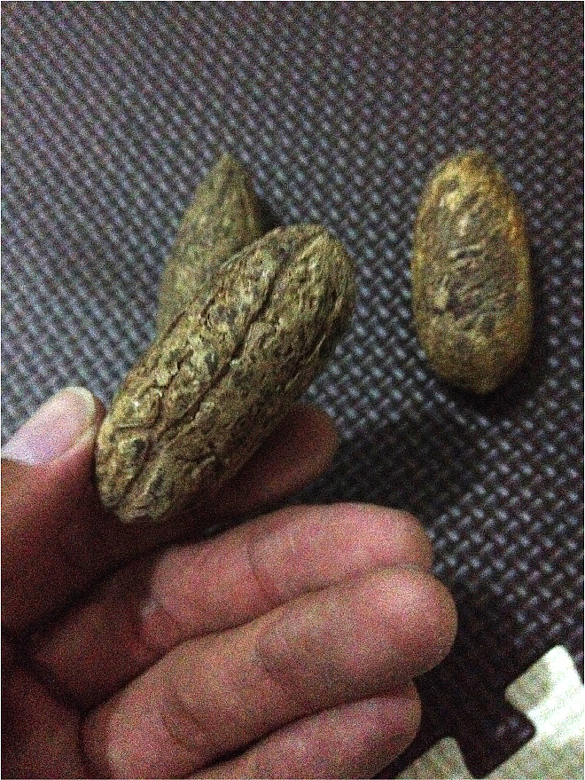 金刚·菩提持者· 驱邪避祸（图ZMjE2Mzk2MTI=） - 首饰设计 - 站酷设计师不认识的木子先森原创素材 - 站酷ZCOOL