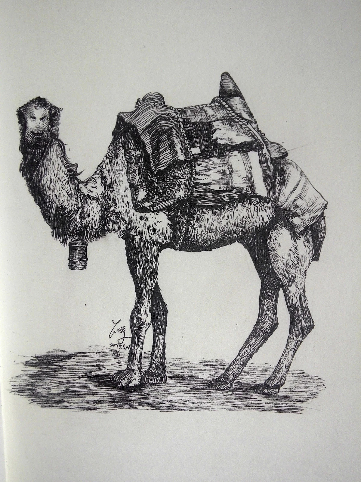 签字笔动物速写素描超写实创作