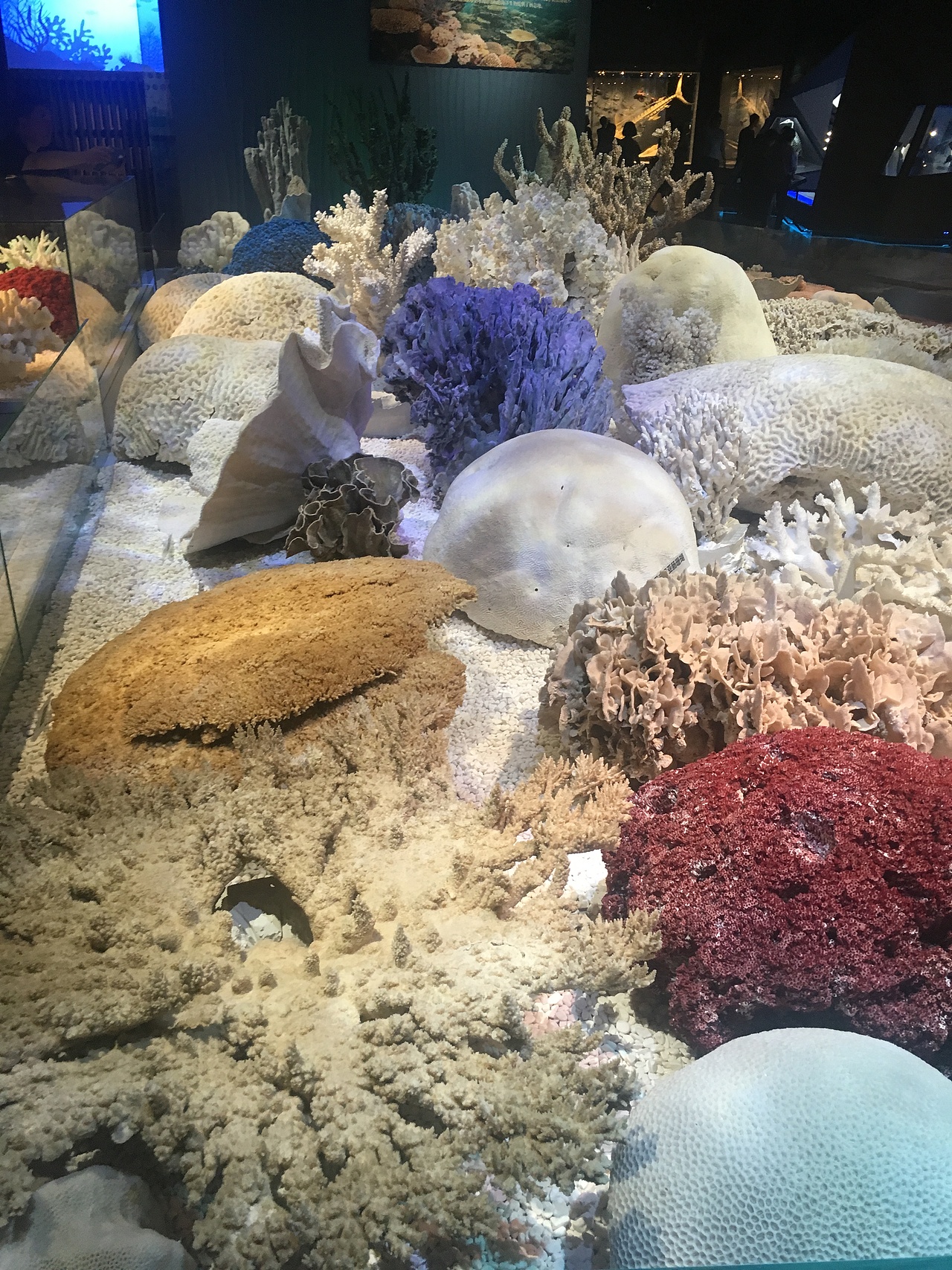海洋博物馆（图ZMjUyMDU4ODky） - 展陈设计 - 站酷设计师易森空间设计原创素材 - 站酷ZCOOL