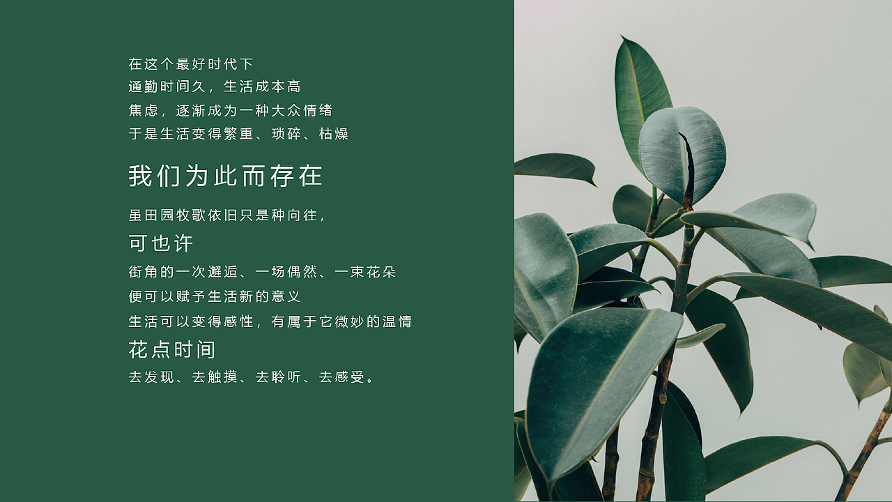 邂逅花朵品牌 视觉系统