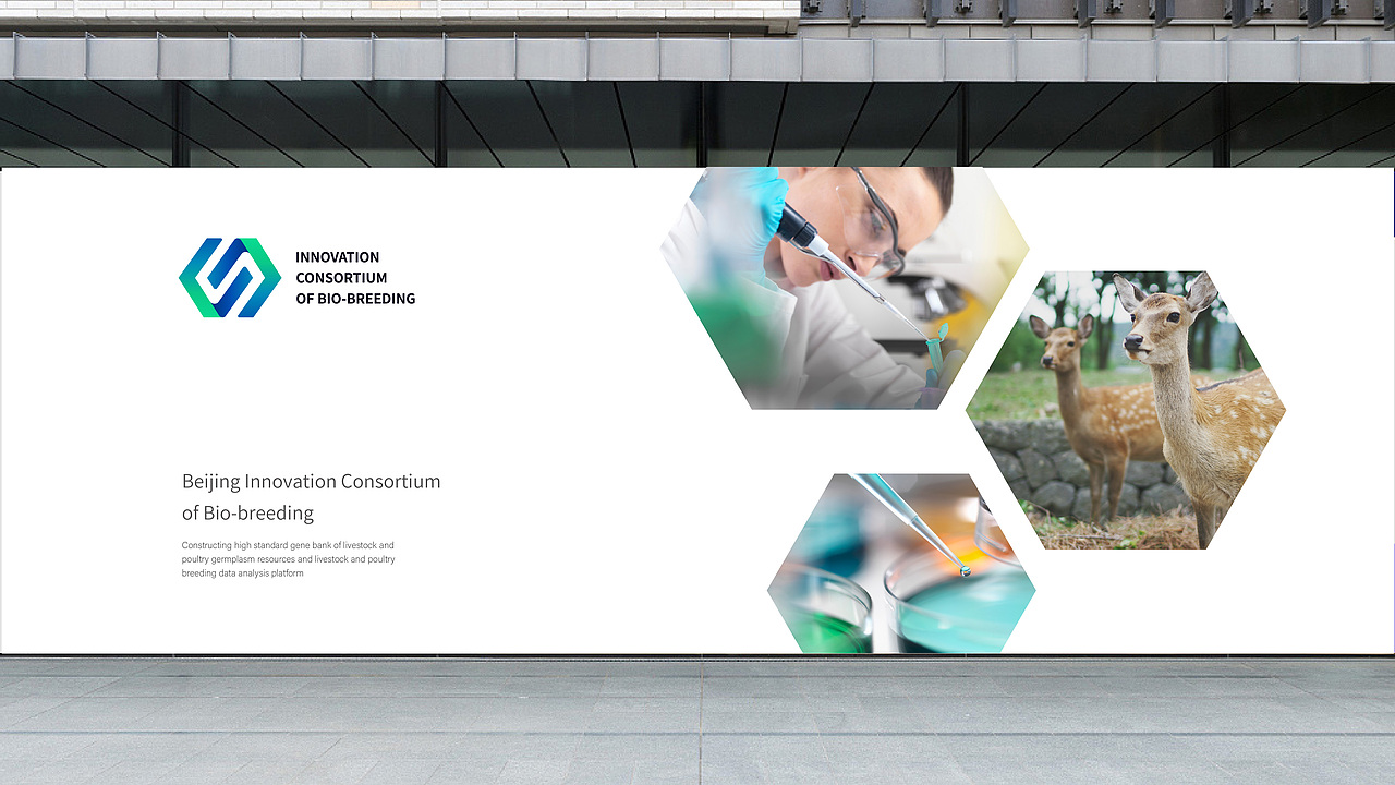 创新种业品牌设计