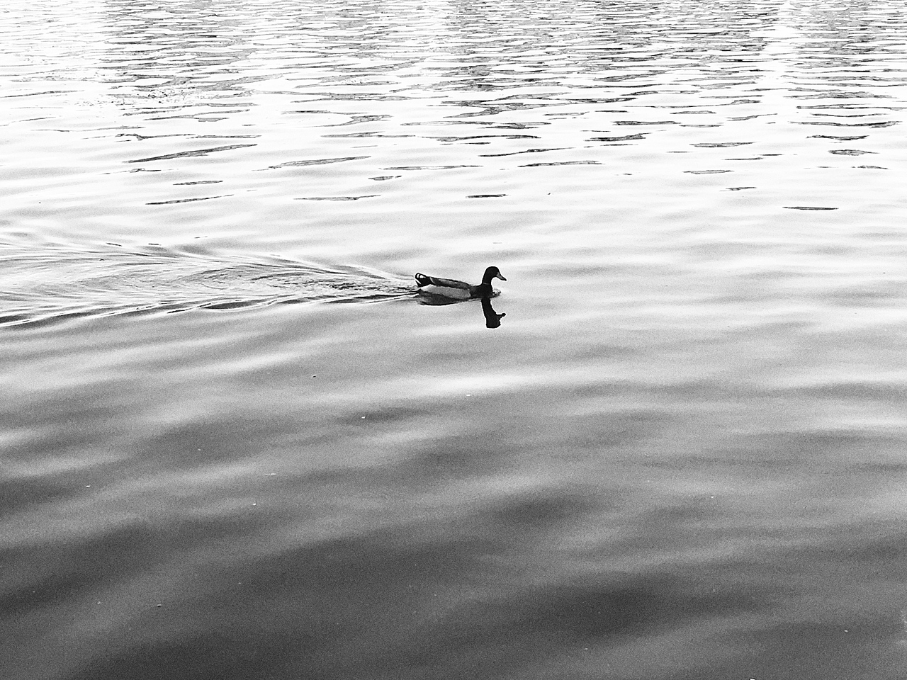 手机摄影 北京后海