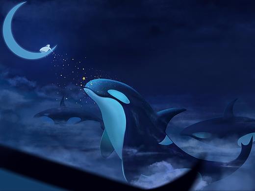 吃星星的鲸鱼~