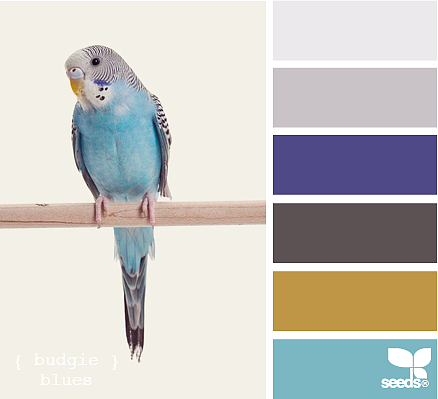 网页实物配色——蓝色系（图ZMTQ5MzYwNDUy） - 其他网页 - 站酷设计师CoolerUX原创素材 - 站酷ZCOOL