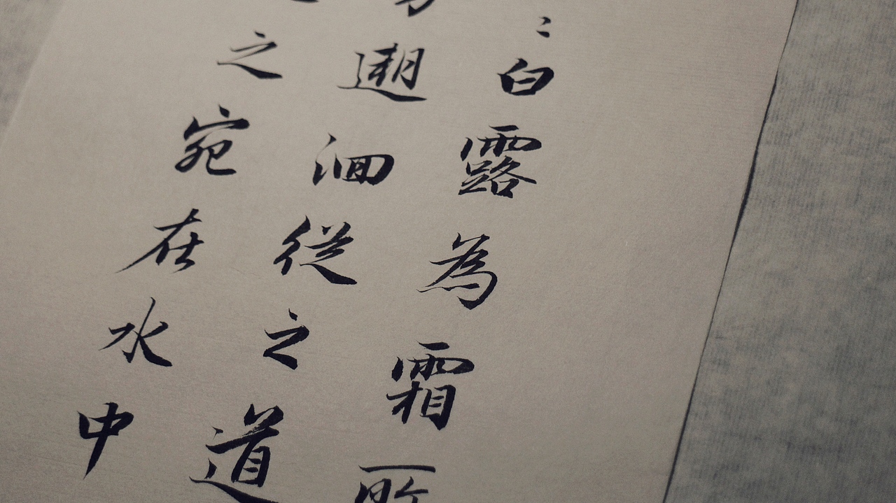 诗经,蒹葭|纯艺术|书法|南零__原创作品-站酷zcool