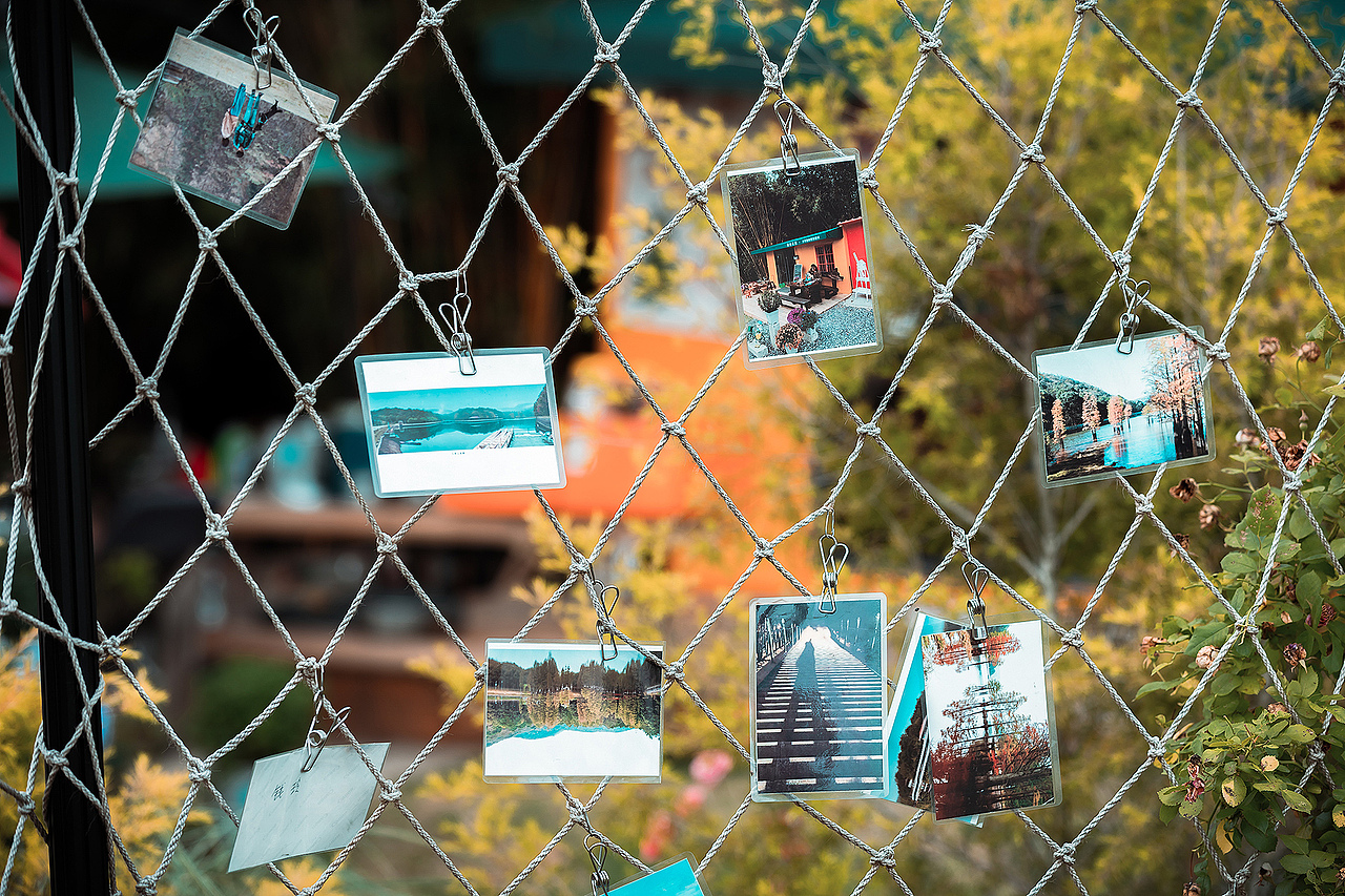 薇柏花园营地s2（图ZMzAyNTU2NTIw） - 人文/纪实摄影 - 站酷设计师Alex1205原创素材 - 站酷ZCOOL