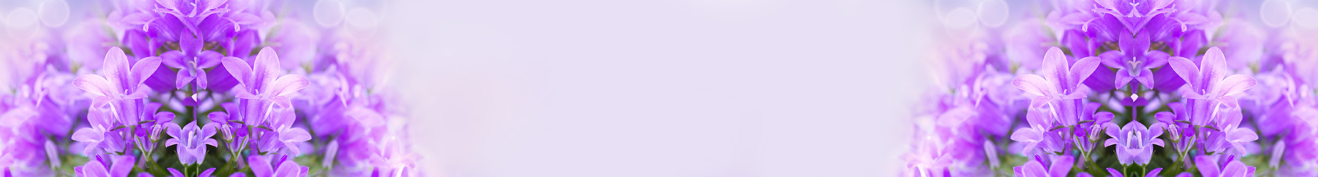 我是破美工oo的个人主页（封面预览） - 主页封面设置 - 站酷设计师我是破美工oo原创素材 - 站酷ZCOOL