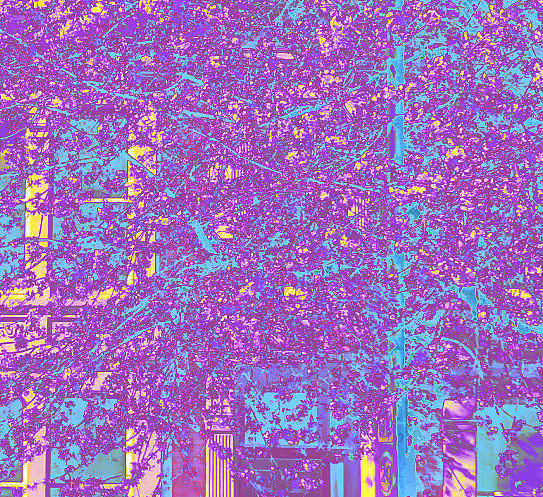 一些通过改色相饱和度对比度的摄影作业