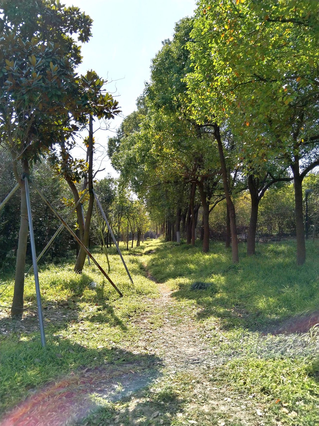 3月实拍！宝山.虎林园（图ZMzY0ODMzMjky） - 风光摄影 - 站酷设计师东逛西摄原创素材 - 站酷ZCOOL