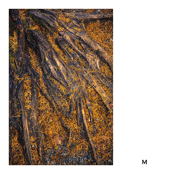 [Details] -只字片语-（图ZMjc3NzM2NjA4） - 风光摄影 - 站酷设计师晆时_micheal原创素材 - 站酷ZCOOL