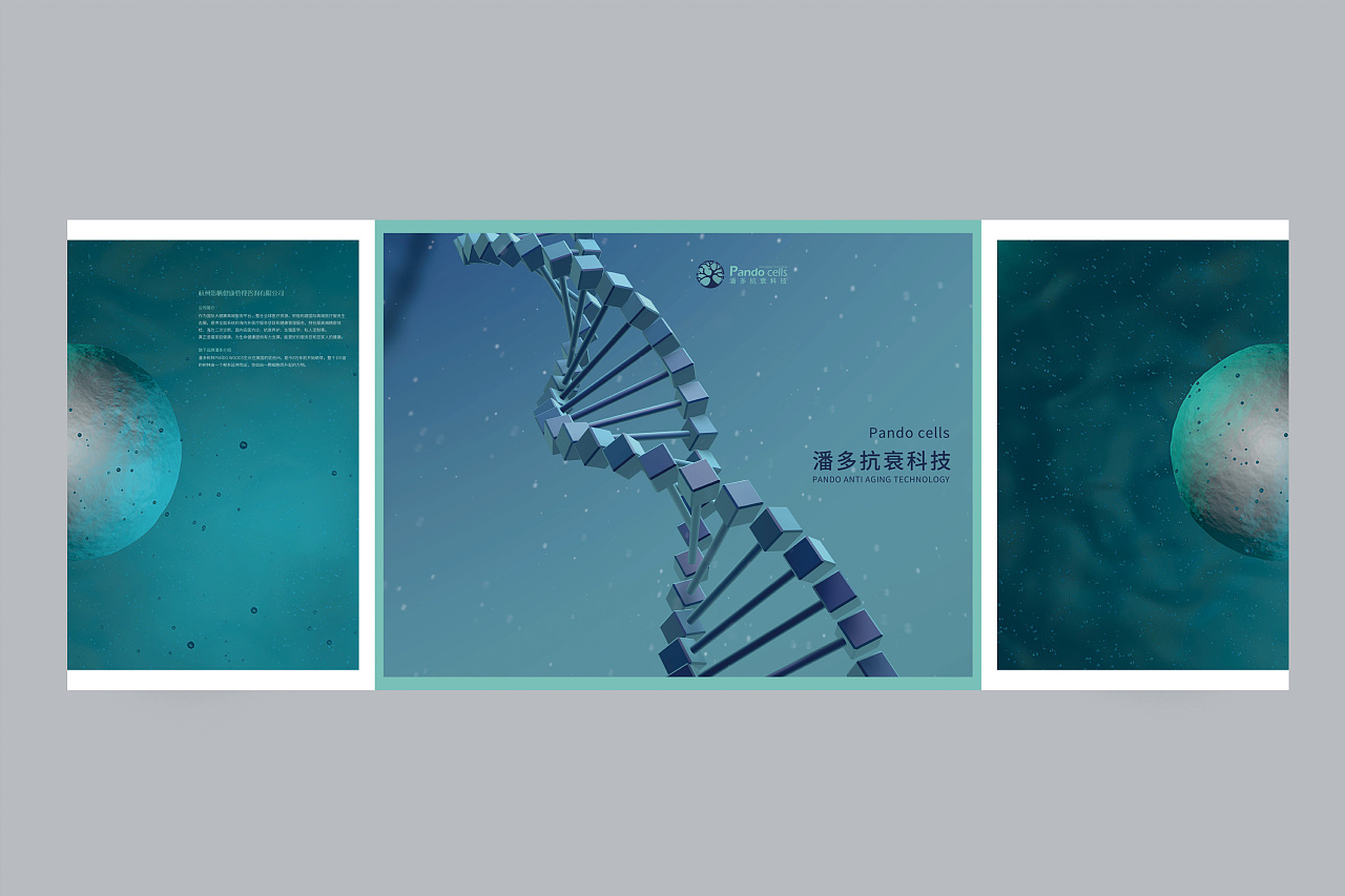 四折页关门折干细胞宣传页