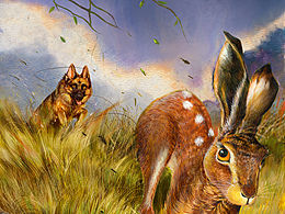 沈石溪动物小说封面配图