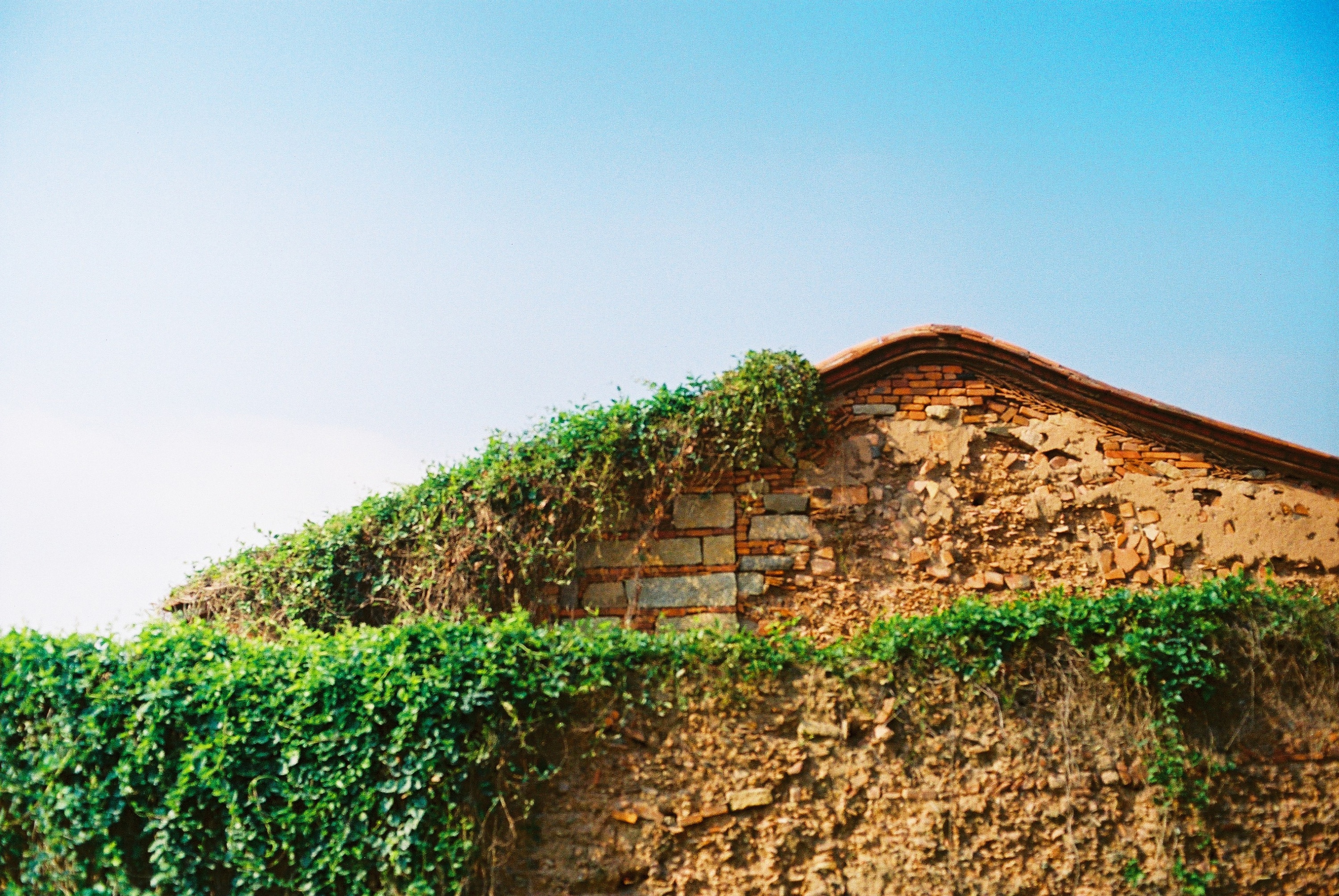 那些被遗忘的街角