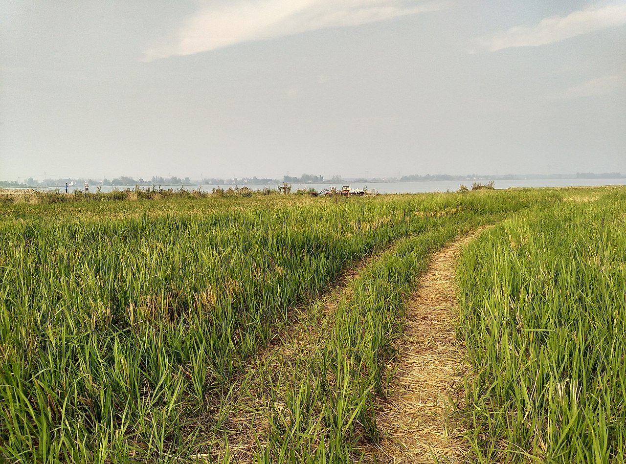 農(nóng)村風(fēng)景（圖ZNTg0MDQwMjQ=） - 風(fēng)光攝影 - 站酷設(shè)計師朱胤龍原創(chuàng)素材 - 站酷ZCOOL