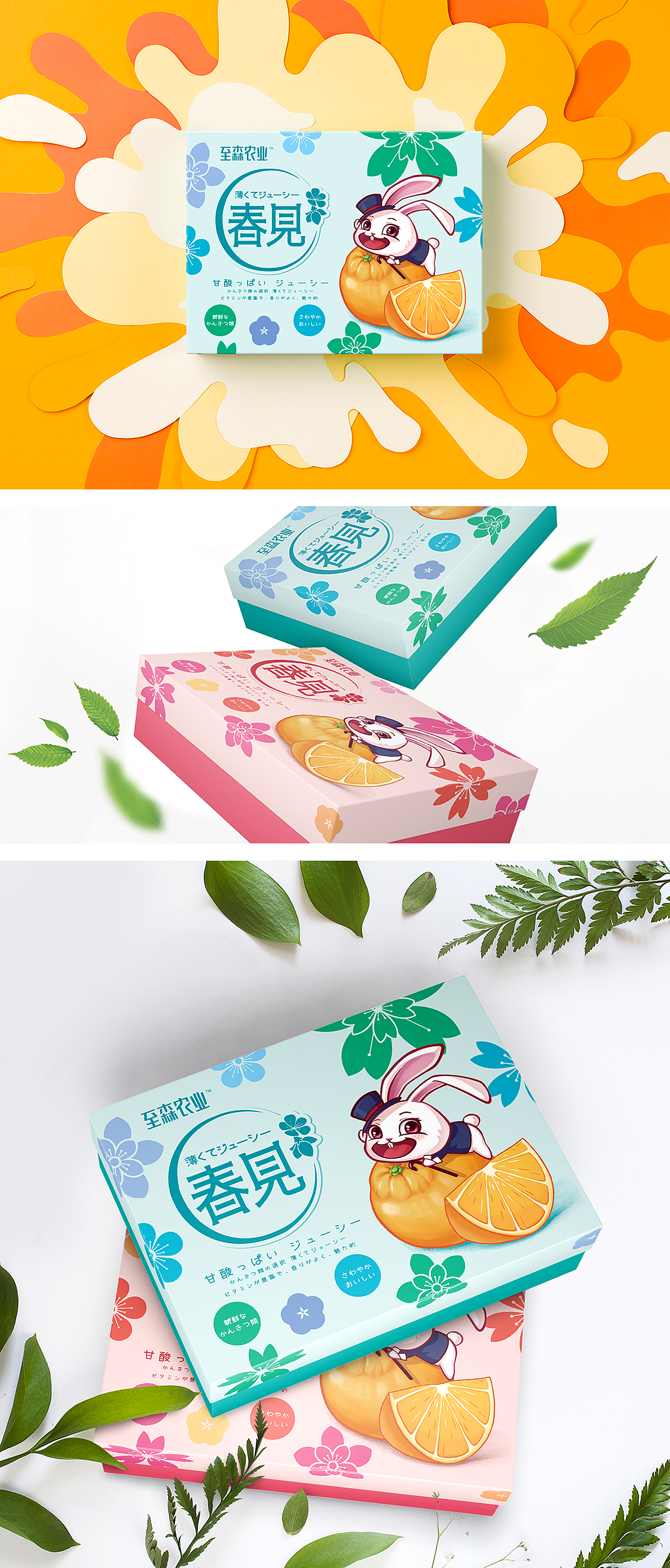 善行研创一至森农业春见柑橘IP插画包装设计（二）（图ZMTk3MDU2OTcy） - 包装 - 站酷设计师善行研创品牌策划原创素材 - 站酷ZCOOL