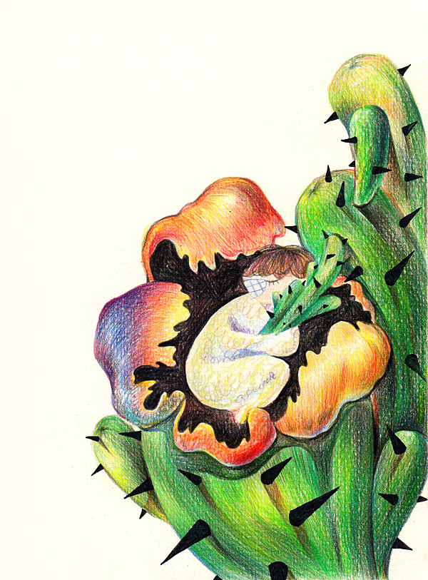 仙人掌的秘密——彩铅绘本练习(图ZMjc1MTc5MjA=) - 儿童插画 - 站酷设计师二三汪原创素材 - 站酷ZCOOL