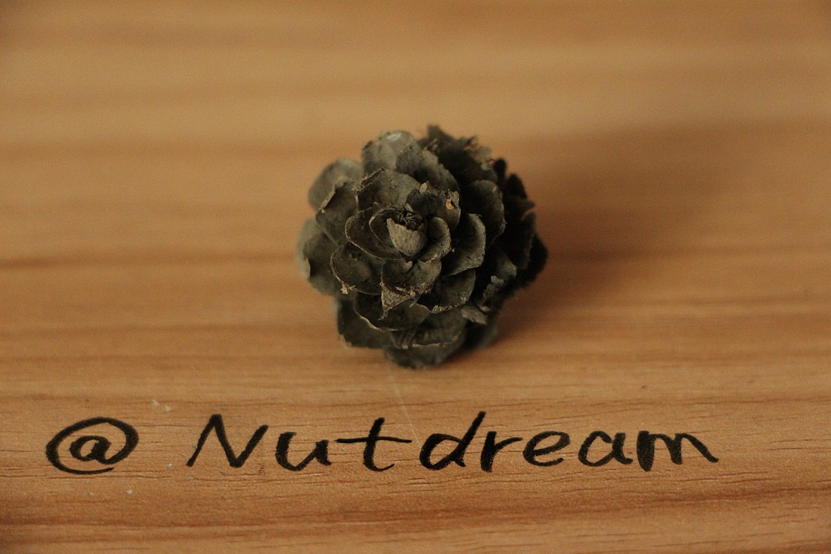 so happy~~（图ZMjAwMDk4NzI=） - 商业插画 - 站酷设计师Nutdream原创素材 - 站酷ZCOOL
