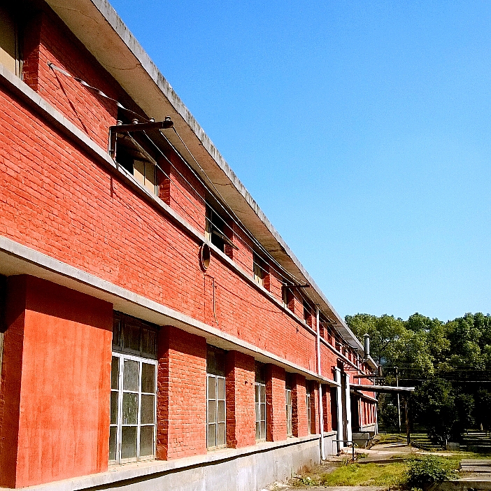 漫步在金秋的阳光下