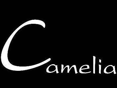 Camelia山茶花  APP
