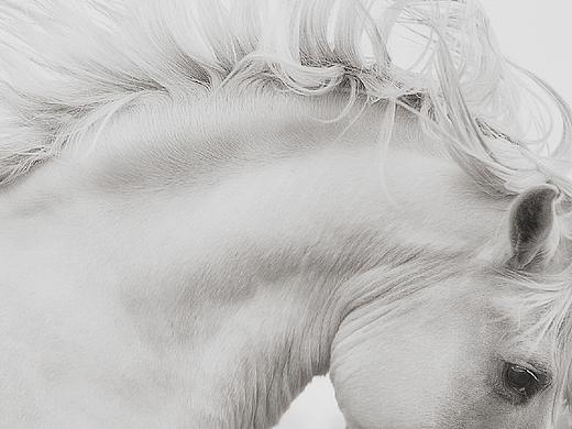 华润鼓楼紫云府视觉提报