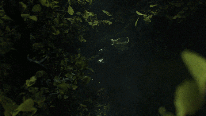 个人制作大广赛CG动画 《Vestige》| 一叶子（图ZMjYwMjUyMTI4） - 场景 - 站酷设计师Noped_原创素材 - 站酷ZCOOL