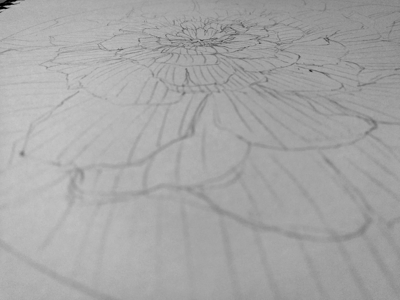 無名花（圖ZNzY3MDAwODA=） - 創(chuàng)作習(xí)作 - 站酷設(shè)計(jì)師一盒火柴原創(chuàng)素材 - 站酷ZCOOL