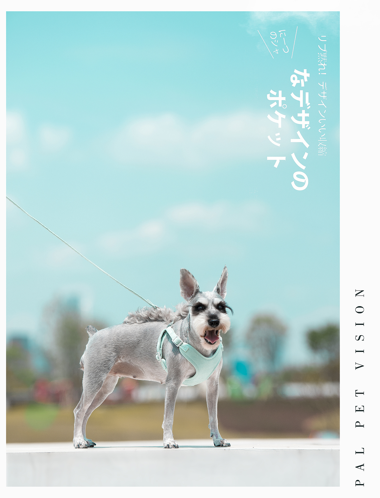 宠物产品摄影/宠物用品之宠物产品视频，再来一组混搭（图ZMjA1MjY3NDIw） - 宠物摄影 - 站酷设计师珀珀视觉原创素材 - 站酷ZCOOL