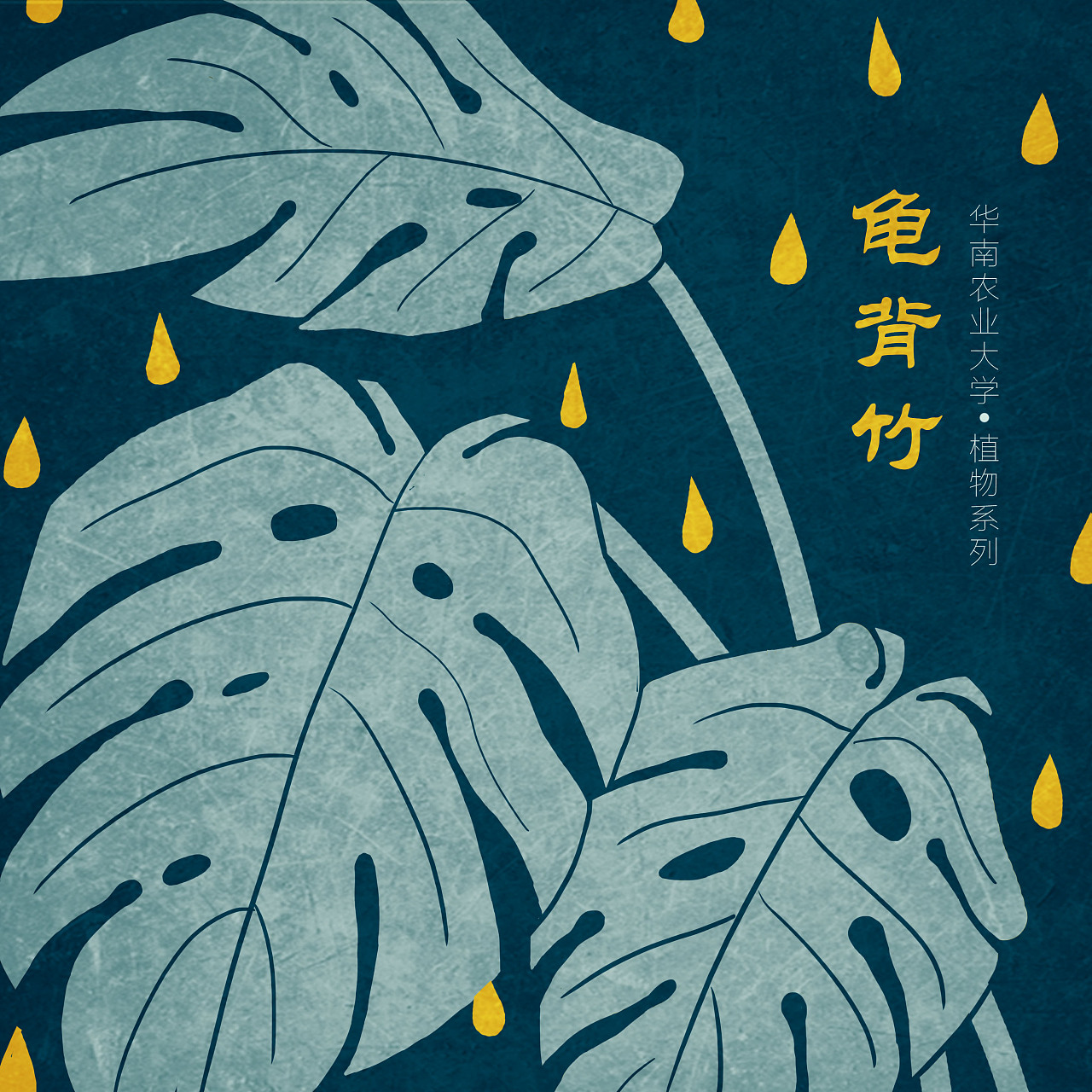 龟背竹广州 |                                              插画师