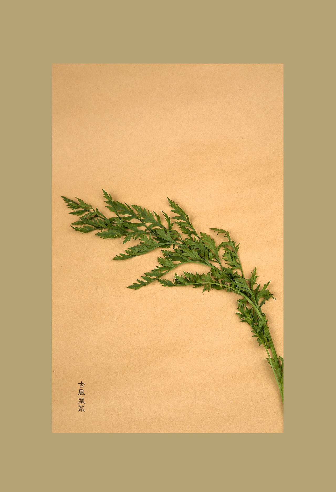 古風(fēng)食意（圖ZNjE4MDI5Njg=） - 產(chǎn)品攝影 - 站酷設(shè)計(jì)師蔣小那原創(chuàng)素材 - 站酷ZCOOL