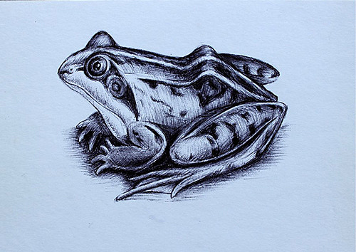 纯手绘明信片/新年祝福/圣诞贺卡/雪