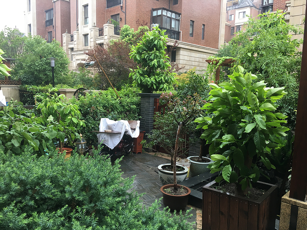 改造前:花园阳光充足,地势不平坦,原有植物比较杂乱,设计感不强,建议原有亭子作为休息区,并花园结合小型水景以及户外家具植物搭配使花园功能性和景观性很好的结合。