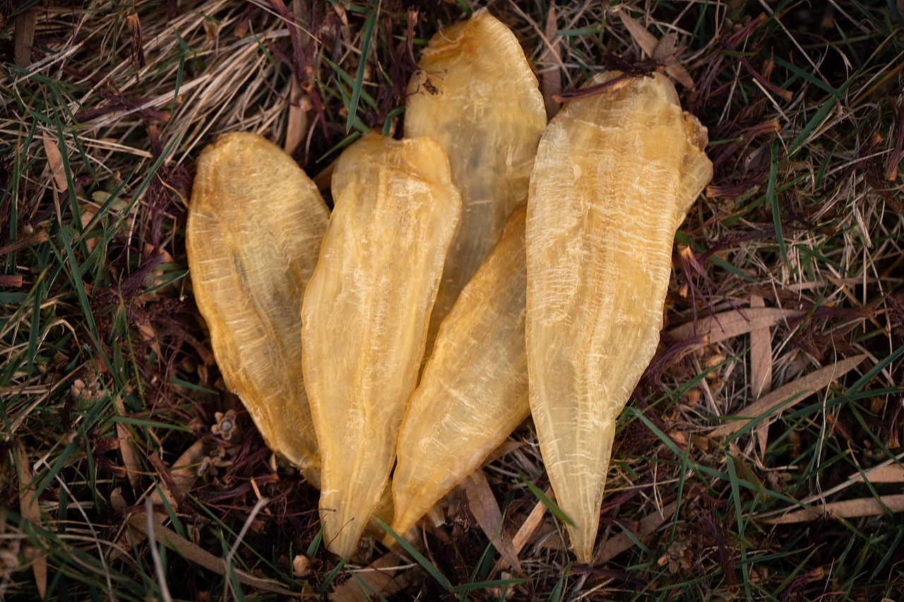 小金龙花胶（图ZMjA5ODMzNDUy） - 产品摄影 - 站酷设计师BensonLI原创素材 - 站酷ZCOOL