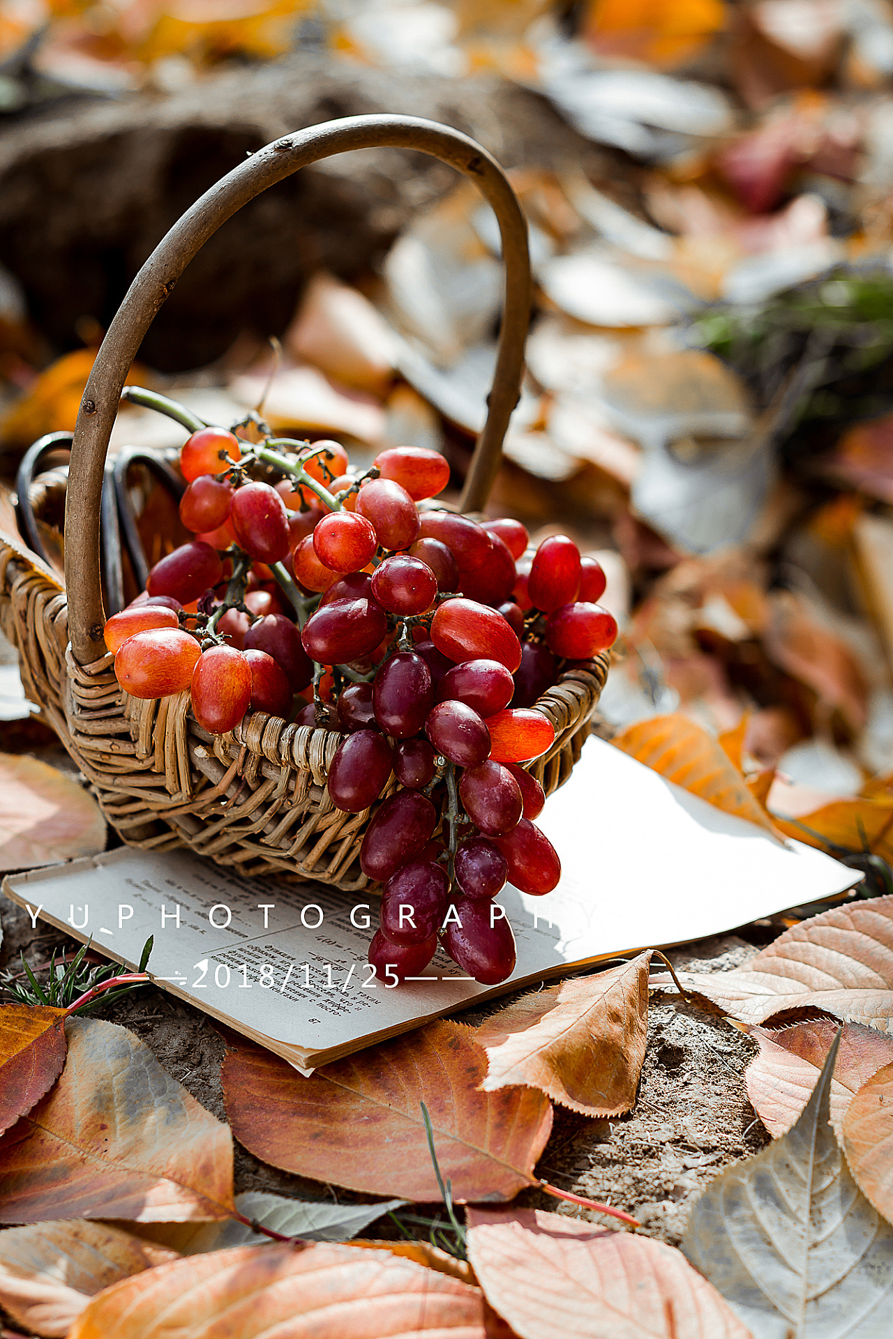 暖色水果篮子|摄影|产品摄影|羊咩咩摄影工作室