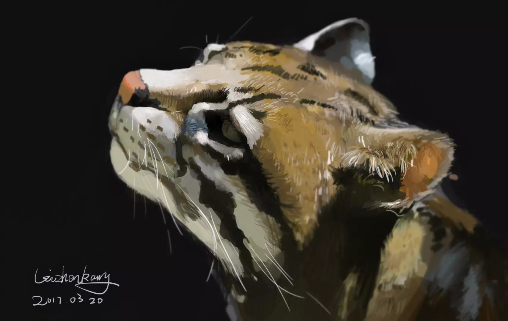 Feeic的个人主页（封面预览） - 主页封面设置 - 站酷设计师Feeic原创素材 - 站酷ZCOOL