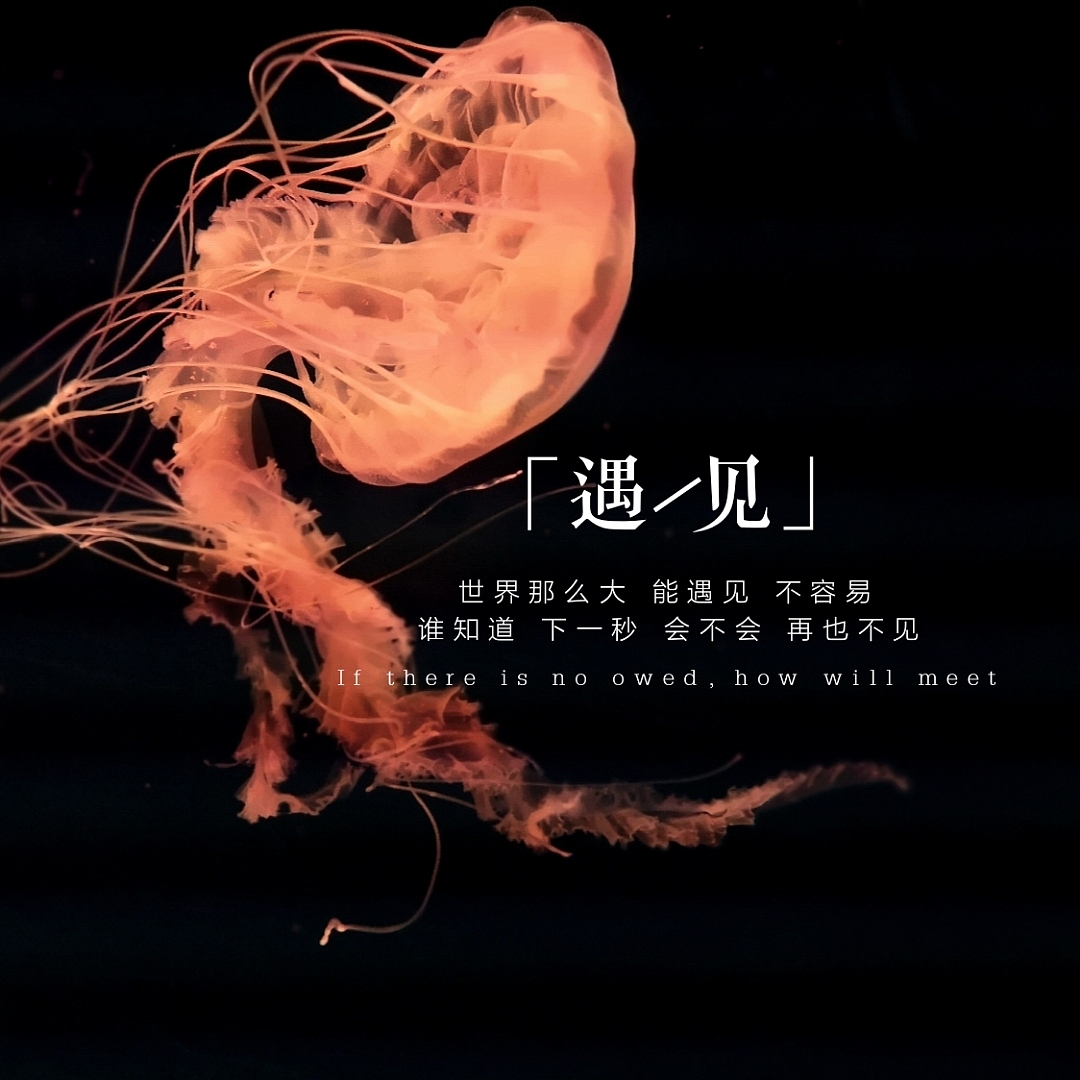 海洋馆里的一抹温柔