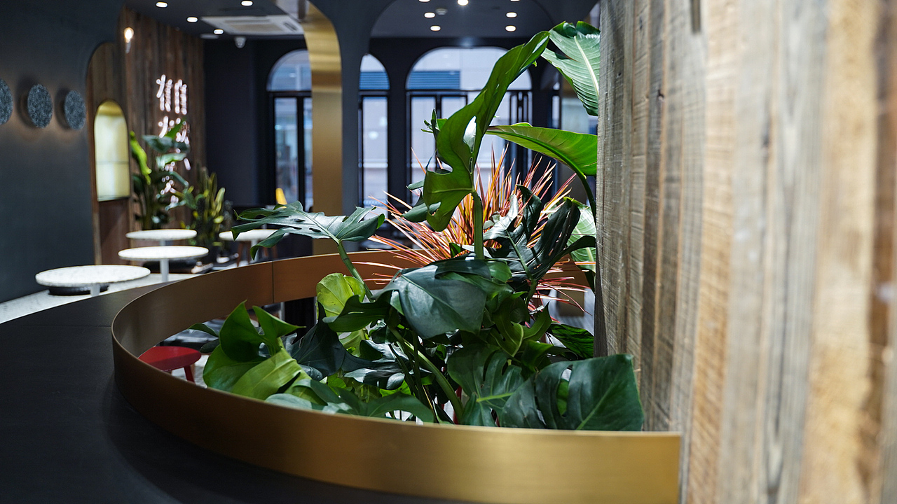 叶子与茶——湖州黑金店