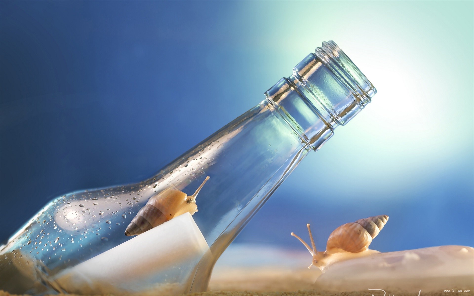 怎堪迷茫的個人主頁（背景預(yù)覽） - 主頁背景設(shè)置 - 站酷設(shè)計師怎堪迷茫原創(chuàng)素材 - 站酷ZCOOL