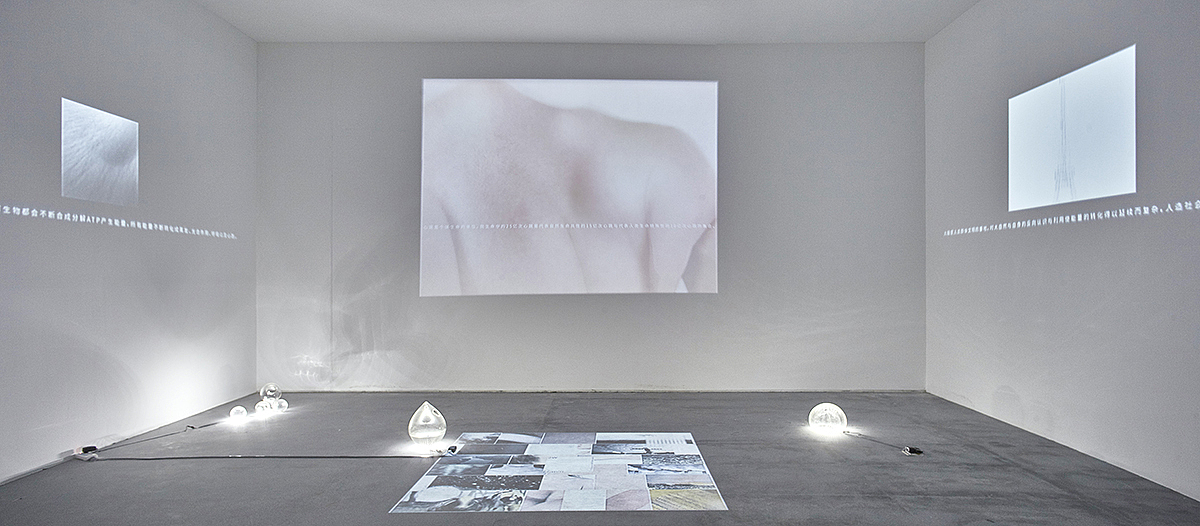 第十三届全国美术作品展览实验艺术作品展