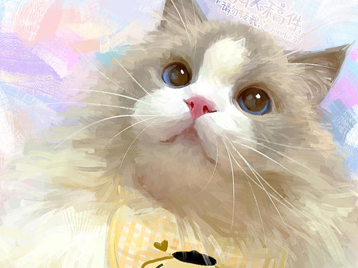 猫咪头像约稿/没有人能拒绝可爱的小猫咪