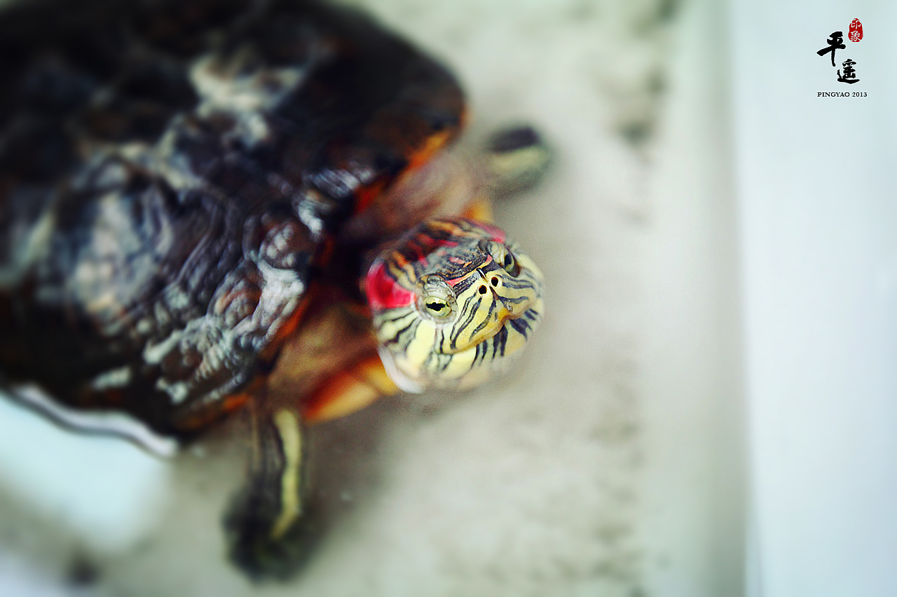 行摄平遥（图ZMjM3NTYzMDQ=） - 风光摄影 - 站酷设计师一个半原创素材 - 站酷ZCOOL